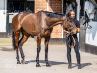 NH220326-14 - Thewoodcorner